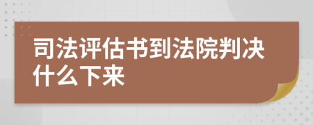 司法评估书到法院判决什么下来