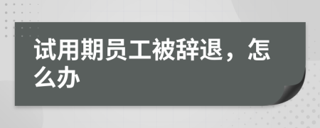 试用期员工被辞退，怎么办