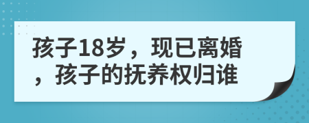 孩子18岁，现已离婚，孩子的抚养权归谁