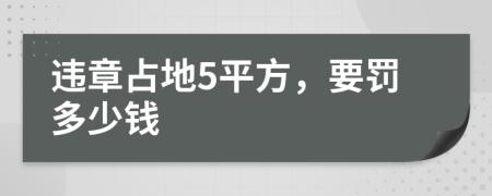 违章占地5平方，要罚多少钱