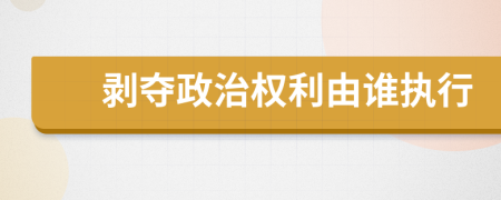 剥夺政治权利由谁执行