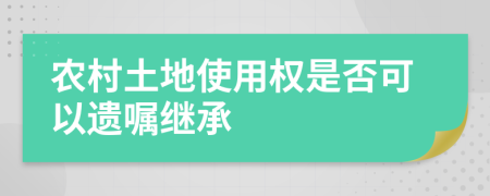 农村土地使用权是否可以遗嘱继承