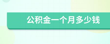 公积金一个月多少钱