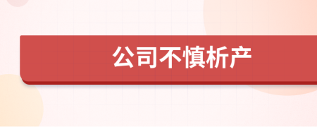 公司不慎析产