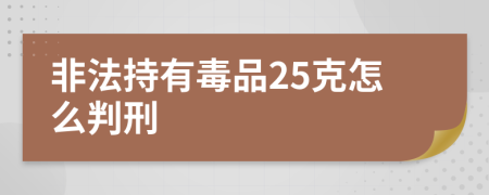 非法持有毒品25克怎么判刑