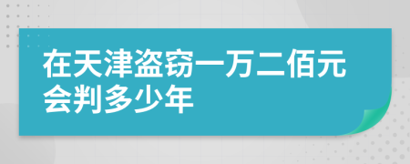 在天津盗窃一万二佰元会判多少年