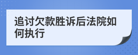 追讨欠款胜诉后法院如何执行