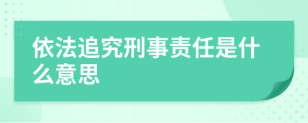 依法追究刑事责任是什么意思