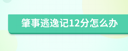 肇事逃逸记12分怎么办