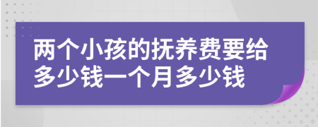 两个小孩的抚养费要给多少钱一个月多少钱