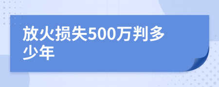 放火损失500万判多少年