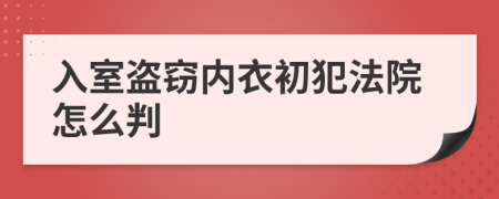 入室盗窃内衣初犯法院怎么判