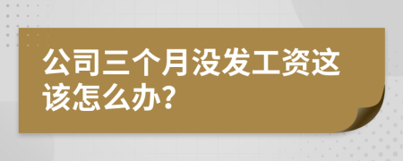 公司三个月没发工资这该怎么办？