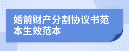 婚前财产分割协议书范本生效范本