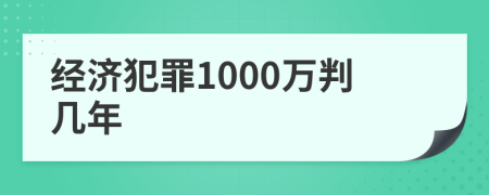 经济犯罪1000万判几年