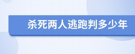 杀死两人逃跑判多少年