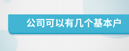 公司可以有几个基本户