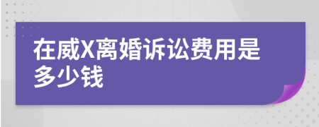 在威X离婚诉讼费用是多少钱