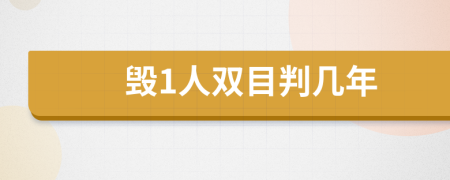 毁1人双目判几年