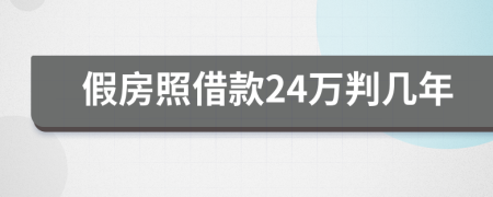 假房照借款24万判几年