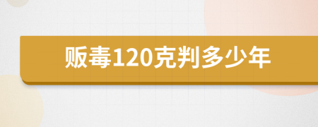 贩毒120克判多少年