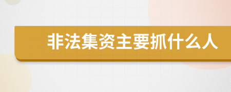 非法集资主要抓什么人