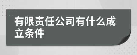 有限责任公司有什么成立条件