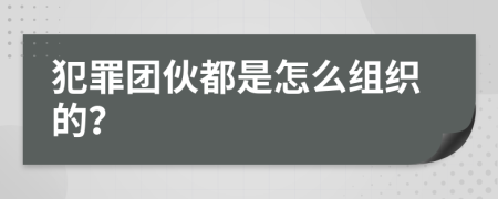 犯罪团伙都是怎么组织的？