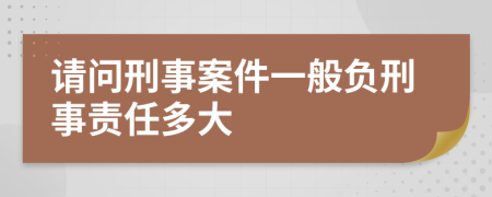 请问刑事案件一般负刑事责任多大