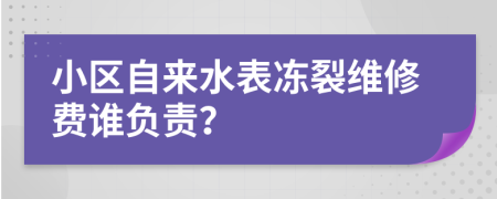 小区自来水表冻裂维修费谁负责？