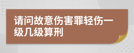 请问故意伤害罪轻伤一级几级算刑