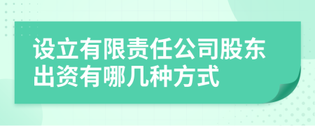 设立有限责任公司股东出资有哪几种方式