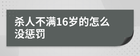杀人不满16岁的怎么没惩罚