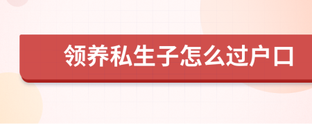 领养私生子怎么过户口