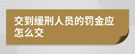 交到缓刑人员的罚金应怎么交