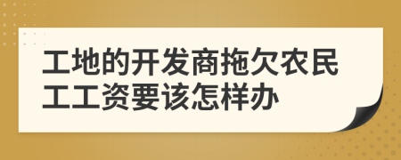 工地的开发商拖欠农民工工资要该怎样办