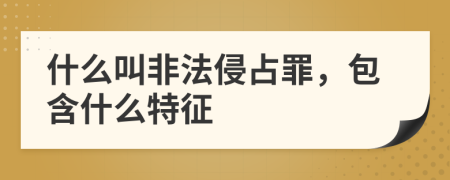 什么叫非法侵占罪，包含什么特征