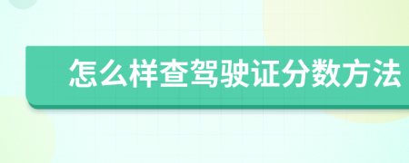 怎么样查驾驶证分数方法