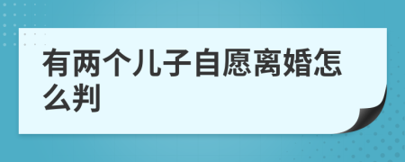 有两个儿子自愿离婚怎么判