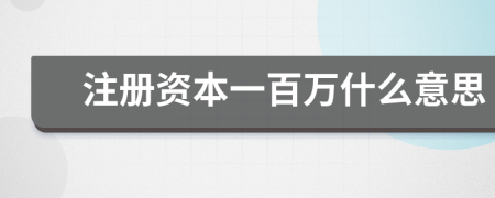 注册资本一百万什么意思