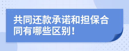 共同还款承诺和担保合同有哪些区别！