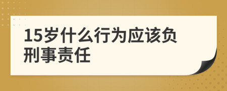 15岁什么行为应该负刑事责任