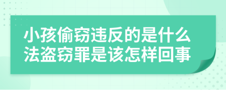 小孩偷窃违反的是什么法盗窃罪是该怎样回事