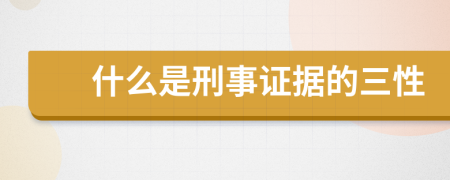 什么是刑事证据的三性