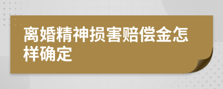 离婚精神损害赔偿金怎样确定