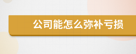 公司能怎么弥补亏损