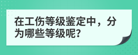 在工伤等级鉴定中，分为哪些等级呢？