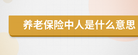 养老保险中人是什么意思