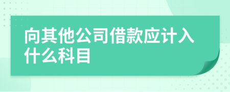 向其他公司借款应计入什么科目