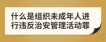 什么是组织未成年人进行违反治安管理活动罪